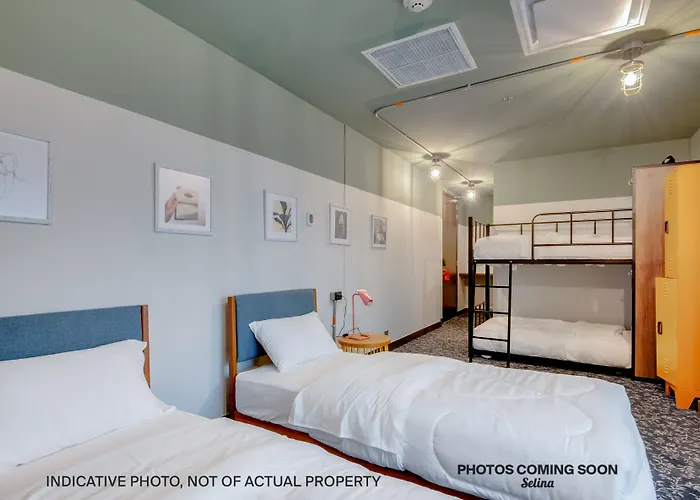Viajero San José Hostel